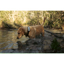 Tractive-DOG-XL-Adventure-GPS-paikannin-3